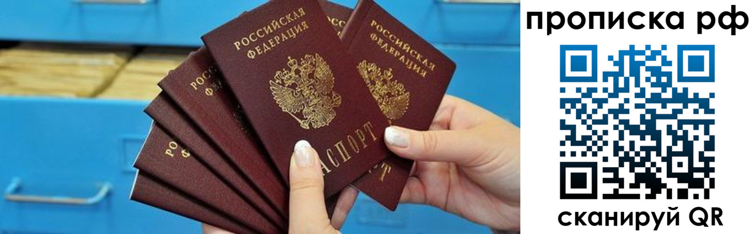 прописка поиск в Нелидово